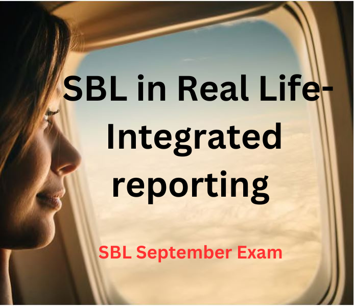 Intergrated Reporting in the Budget Airlines Industry